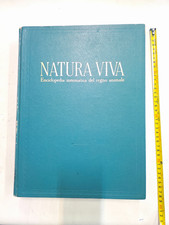 NATURA VIVA - Volume