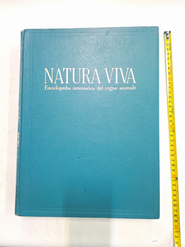 Natura viva volume - viva,