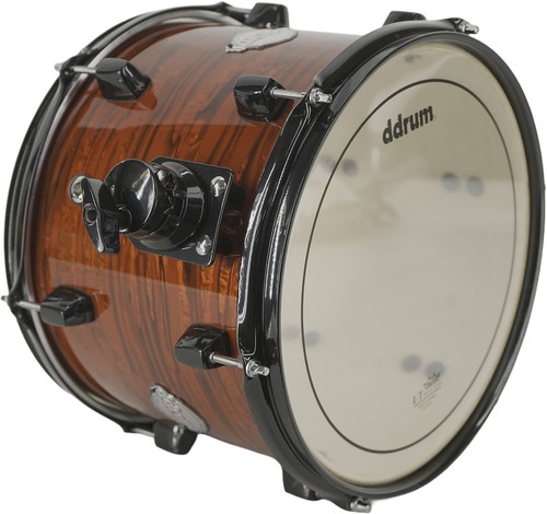 Ddrum dominion betulla x - ddrum,
