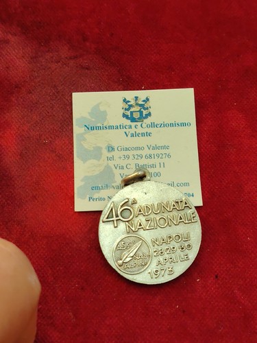 Medaglia adunata alpini 1973 - medaglia,