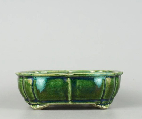 Vaso per bonsai giapponese