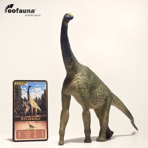 Eofauna atlasaurus imelakei - atlasaurus,