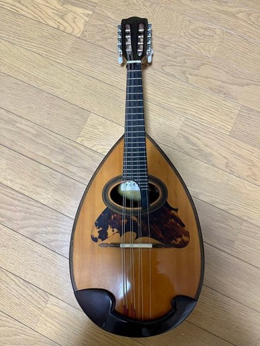 Mandolino suzuki violino - mandolino,