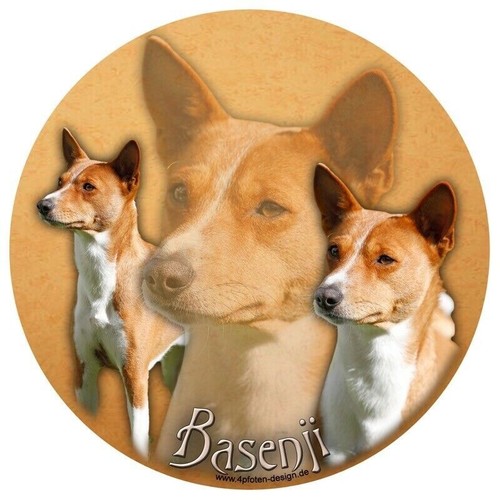 Basenji congo terrier adesivo - congo,