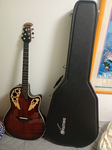 Chitarra acustica elettrica