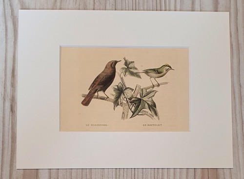 1852 litografia stampa