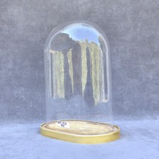 Vetro ovale 11,02 x 7,48 x