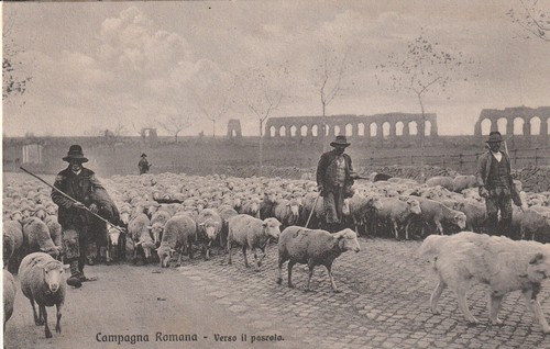 Cpa campagna romana - campagna,