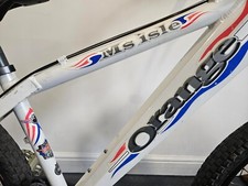 Mountain bike arancione Ms