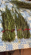 Asparagi Biologici Selvatici