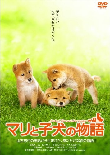 The story mari - mari, and