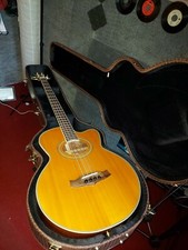 Basso acustico Praticamente Nuovo Piu Super Custodia