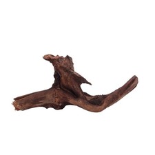 M Driftwood radice di fiume