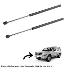 2 MOLLE  A GAS PISTONCINI