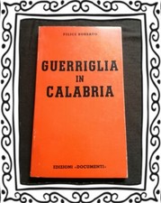 Felice Borsato, 'Guerriglia in