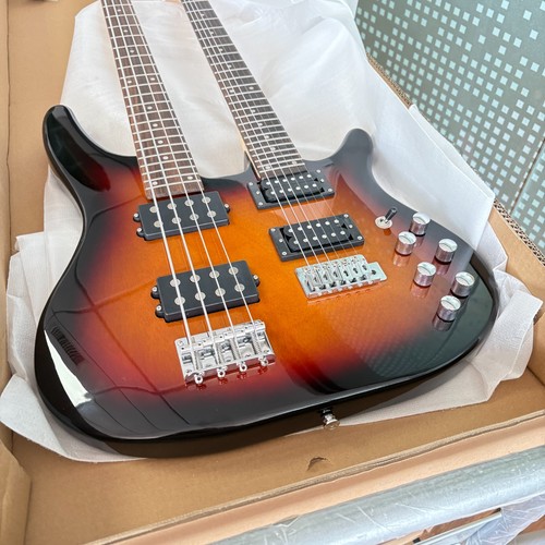 Chitarra elettrica doppio