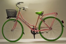 Bici olanda 26 verde rosa