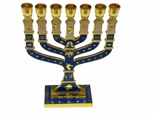 Menorah smaltata grande rami - smaltata, 7