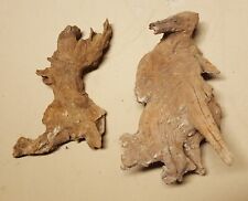 radice mangrovia terrario acquario tronco tana pesci tartaruga