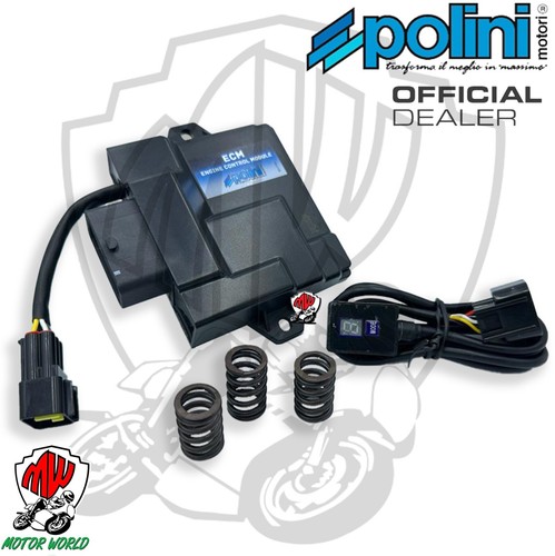 171 0020 centralina ecm polini - ecm,