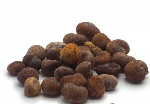 Baobab 10 semi selezionati - ,