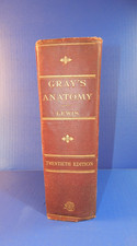 Antique Gray's Anatomy of The