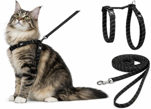 Pettorina gatto - pettorina,