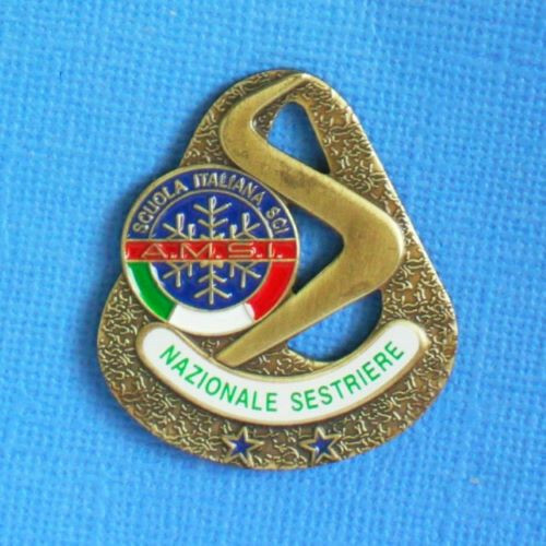 Pin scuola italiana sci - scuola,