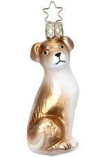Inge-Glas Jack Russell 10116S024 Decorazione natalizia in vetro tedesco