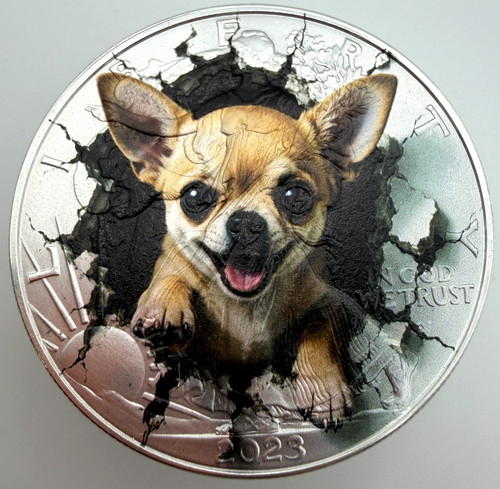 Chihuahua breaking through - through,