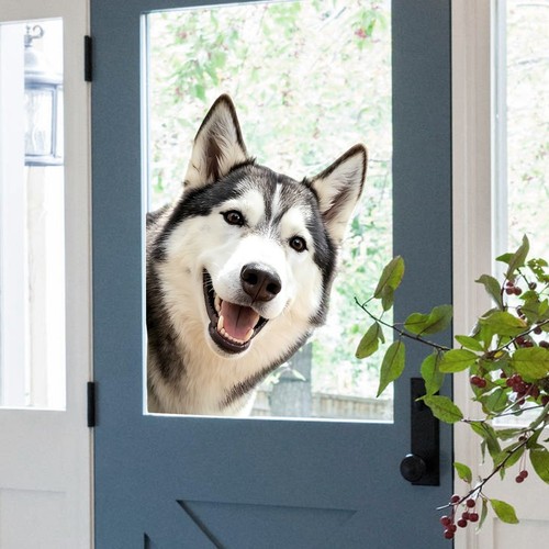 Per husky decalcomania - husky,
