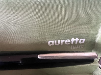 Auretta penna stilografica - penna,