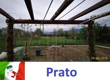 Rete 100 metri ortaggi