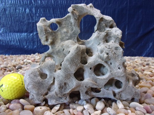 Texas holey rock - texas/tn,