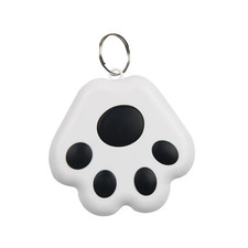 Smart Mini GPS Tracker Chiave