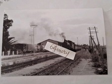 Fotografia Linea Castelvetrano Palermo Stazione di Alcamo Locomotiva a vapore