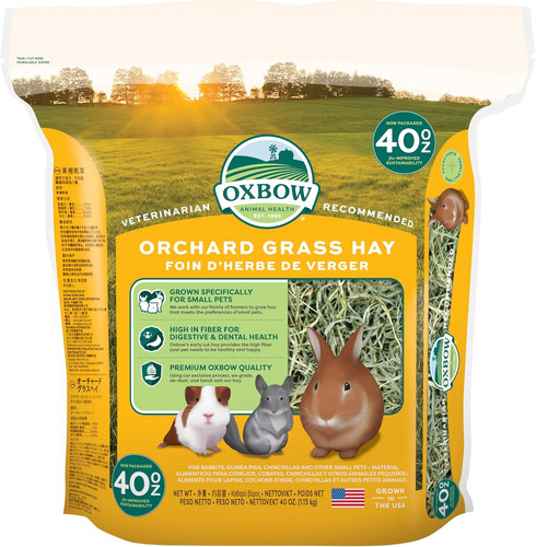 Orchard grass fieno - orchard,