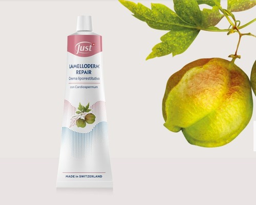 Just linea lamelloderm - 2.0,