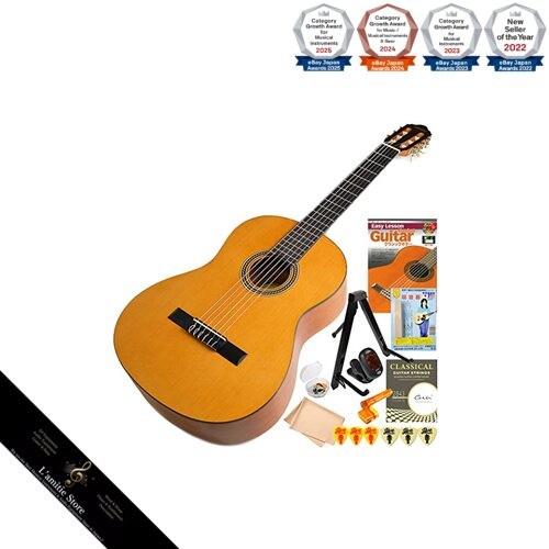 Valencia vc204 chitarra - valencia,