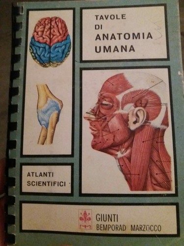 Anatomia umana - .,