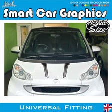SMART CAR PER DUE strisce