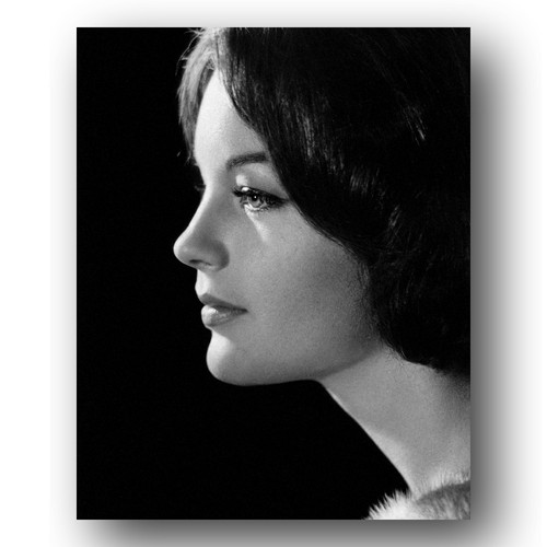 Romy schneider photo 8x10 - romy,