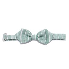 3090Y papillon boy BABY