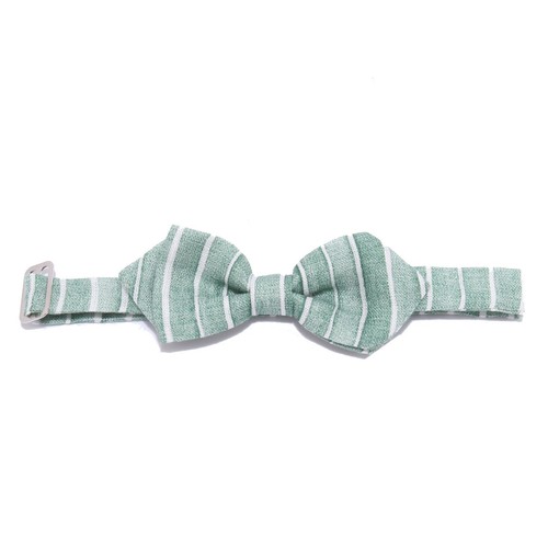3090y papillon boy baby - papillon,