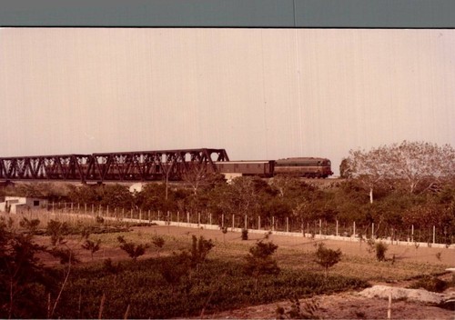 Catanzaro soverato treno - treno, sul