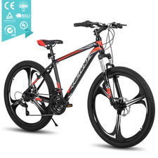 26 Pollici Mountain Bike 21