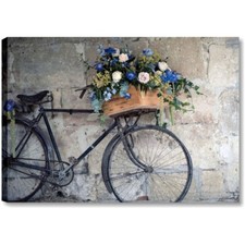 Bici Vintage Retro - Quadro