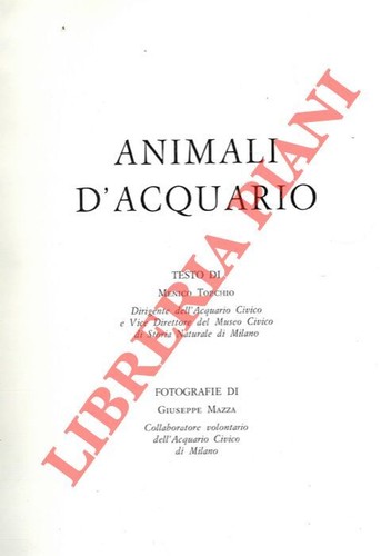 Torchio menico mazza - menico,