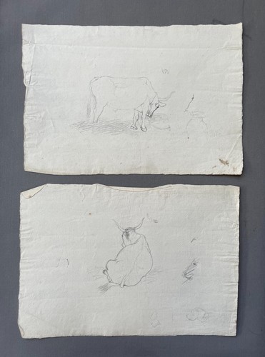 Disegni antichi manzo - disegni, antichi,