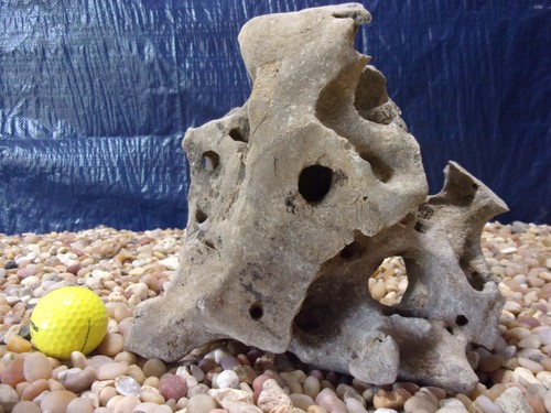 Texas holey rock - 11#,